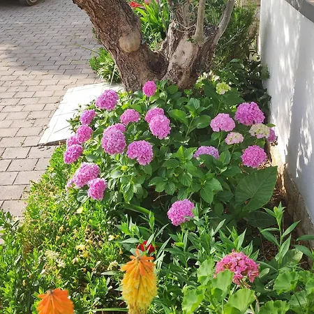 By The Sea Tkon, Pasman - 16275 Apartman