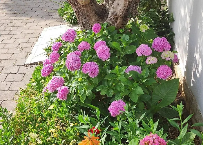 By The Sea Tkon, Pasman - 16275 Apartman